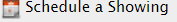 showintime icon.png